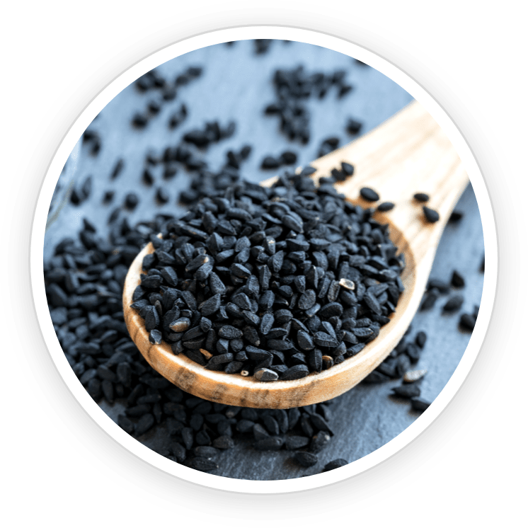 PrimeBiome Ingredients2