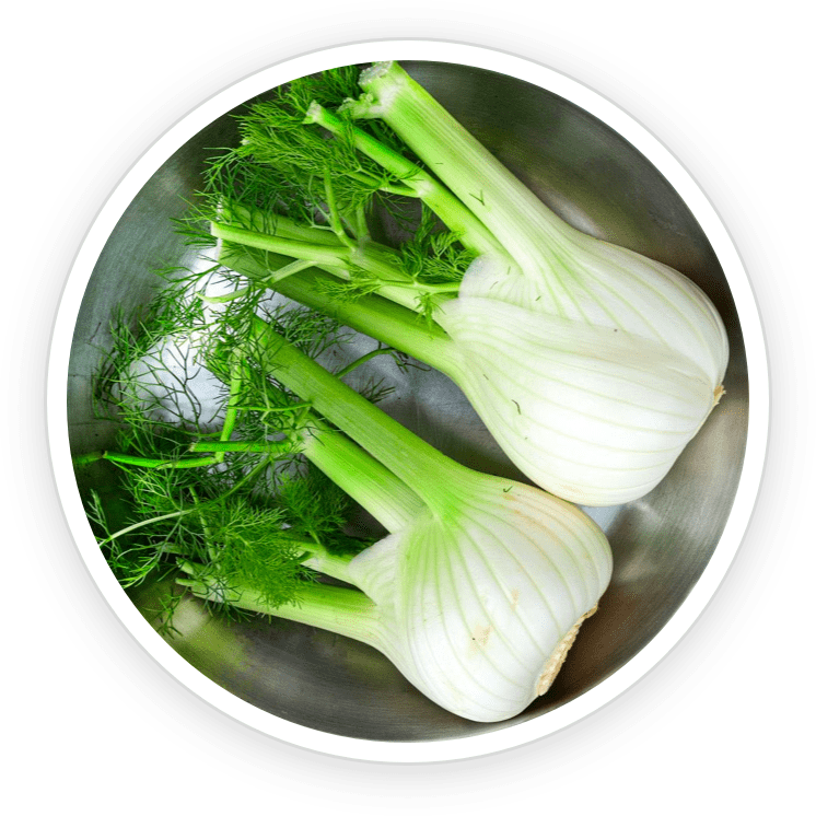 PrimeBiome Ingredients4