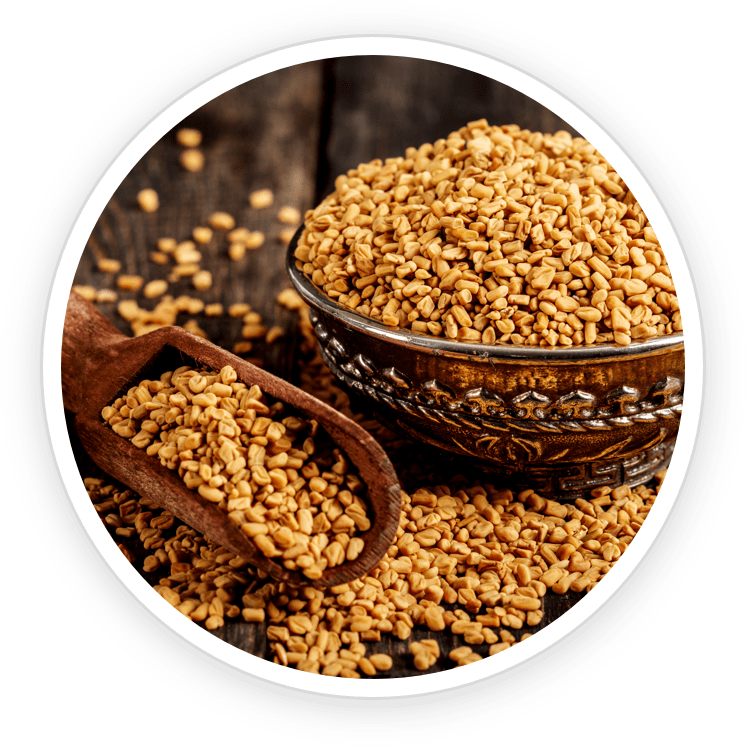 PrimeBiome Ingredients6