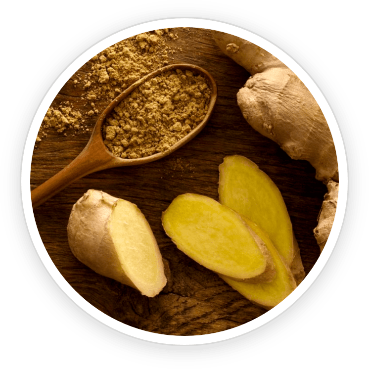 PrimeBiome Ingredients8